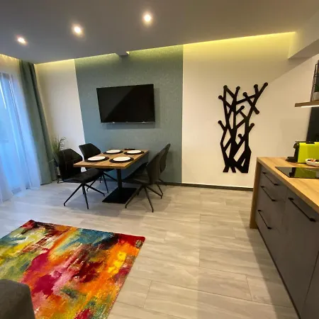 Luxury Apartment *