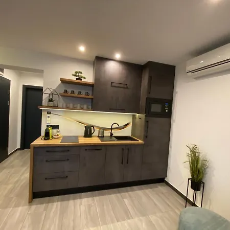 Luxury Apartment