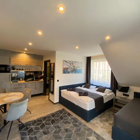 Luxury Apartment *